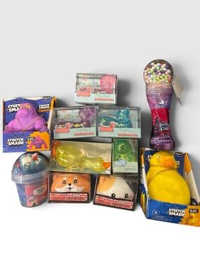 WD8. Keycraft (Learning Express) Toy Bundle - Toys, Squishies, & More!